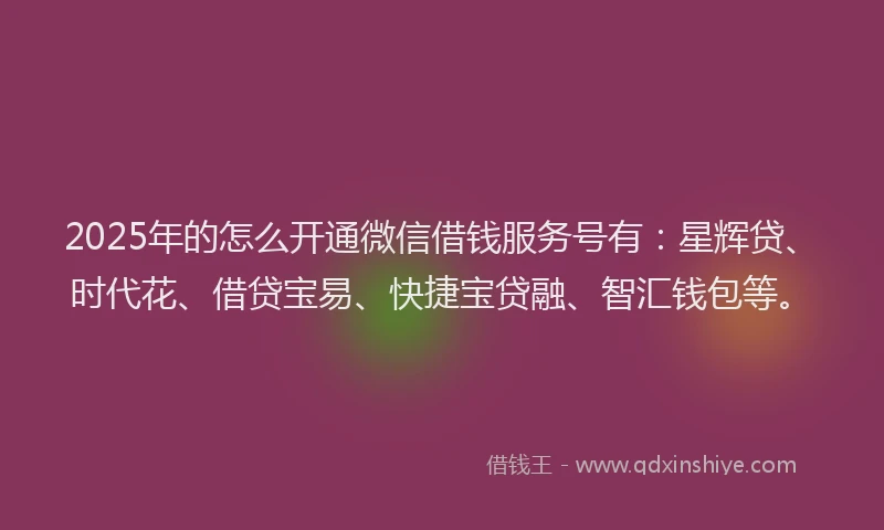 2025年的怎么开通微信借钱服务号有：星辉贷、时代花、借贷宝易、快捷宝贷融、智汇钱包等。