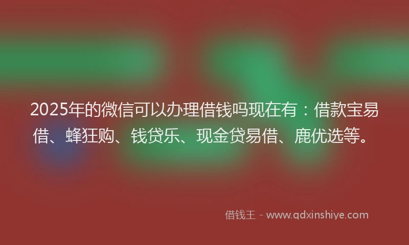 2025年的微信可以办理借钱吗现在有：借款宝易借、蜂狂购、钱贷乐、现金贷易借、鹿优选等。