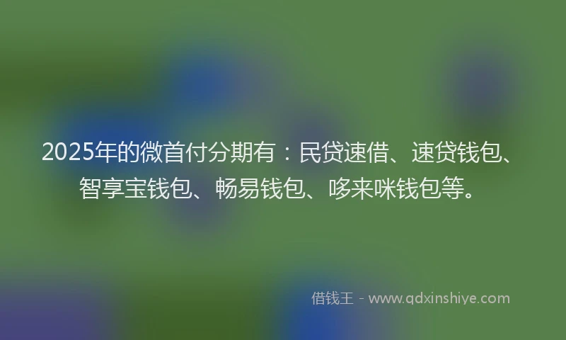 2025年的微首付分期有：民贷速借、速贷钱包、智享宝钱包、畅易钱包、哆来咪钱包等。