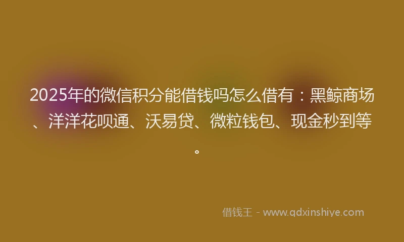 2025年的微信积分能借钱吗怎么借有：黑鲸商场、洋洋花呗通、沃易贷、微粒钱包、现金秒到等。