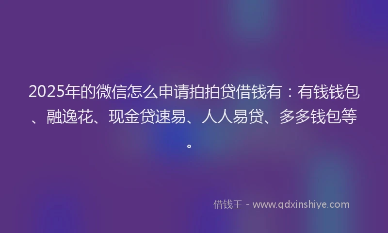 2025年的微信怎么申请拍拍贷借钱有：有钱钱包、融逸花、现金贷速易、人人易贷、多多钱包等。