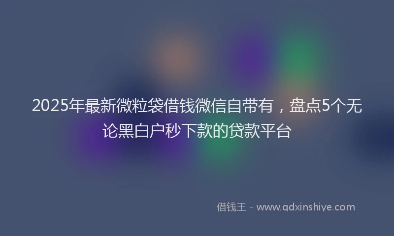 2025年最新微粒袋借钱微信自带有，盘点5个无论黑白户秒下款的贷款平台
