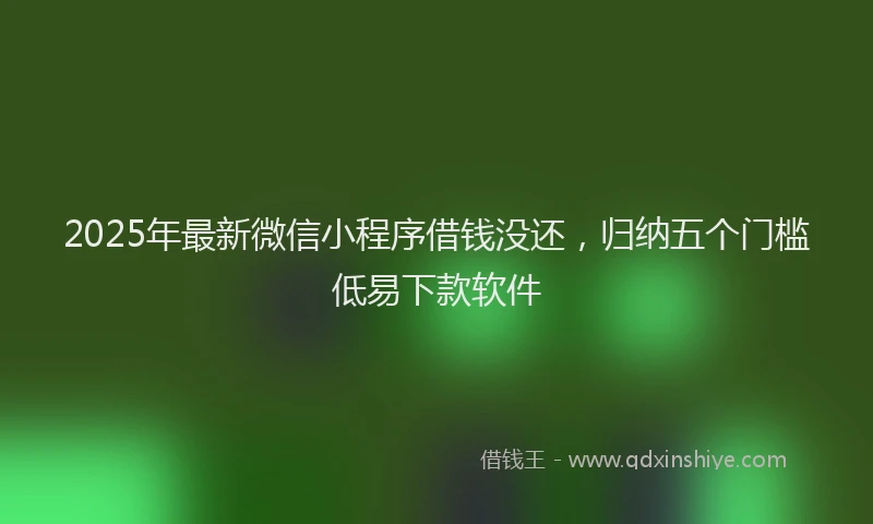 2025年最新微信小程序借钱没还，归纳五个门槛低易下款软件