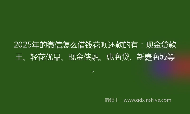 2025年的微信怎么借钱花呗还款的有：现金贷款王、轻花优品、现金侠融、惠商贷、新鑫商城等。