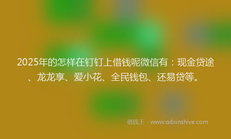 2025年的怎样在钉钉上借钱呢微信有：现金贷途、龙龙享、爱小花、全民钱包、还易贷等。