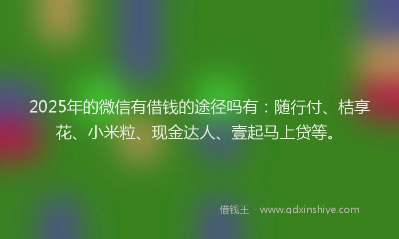 2025年的微信有借钱的途径吗有：随行付、桔享花、小米粒、现金达人、壹起马上贷等。