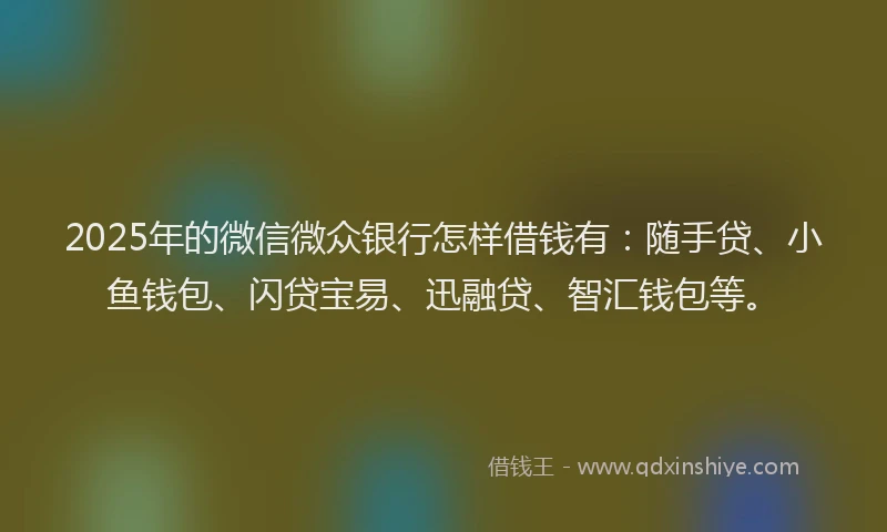 2025年的微信微众银行怎样借钱有：随手贷、小鱼钱包、闪贷宝易、迅融贷、智汇钱包等。