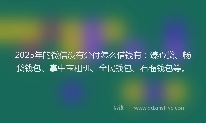 2025年的微信没有分付怎么借钱有：臻心贷、畅贷钱包、掌中宝租机、全民钱包、石榴钱包等。