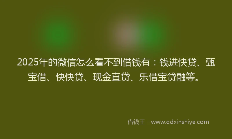 2025年的微信怎么看不到借钱有：钱进快贷、甄宝借、快快贷、现金直贷、乐借宝贷融等。