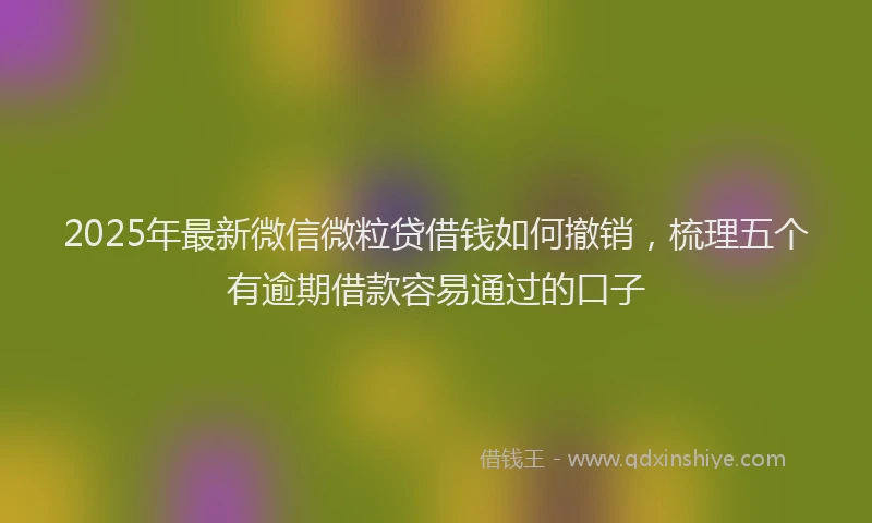 2025年最新微信微粒贷借钱如何撤销，梳理五个有逾期借款容易通过的口子