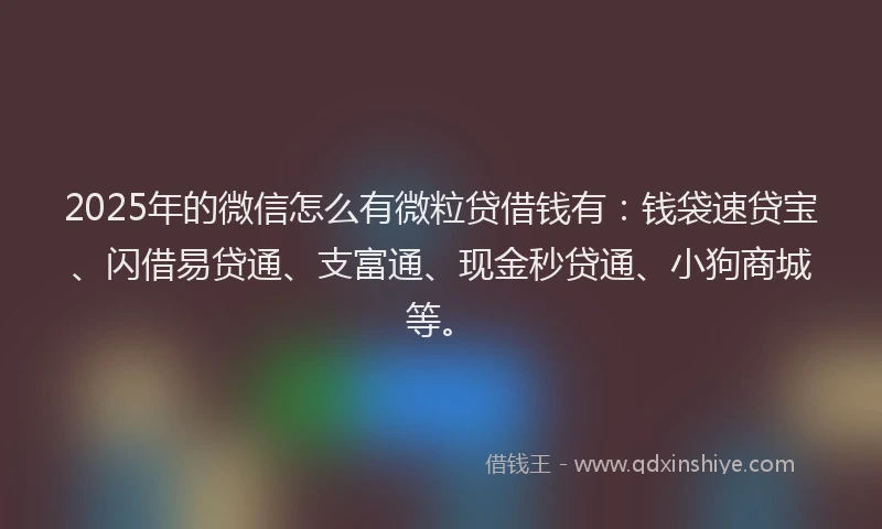 2025年的微信怎么有微粒贷借钱有：钱袋速贷宝、闪借易贷通、支富通、现金秒贷通、小狗商城等。