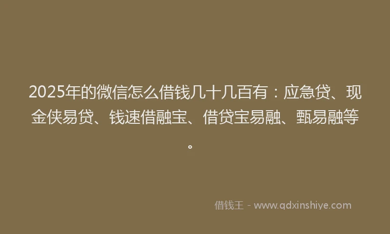 2025年的微信怎么借钱几十几百有：应急贷、现金侠易贷、钱速借融宝、借贷宝易融、甄易融等。