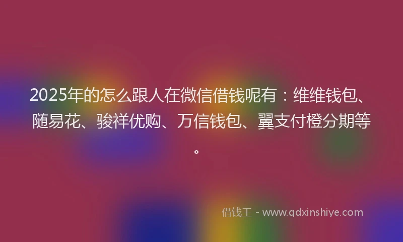 2025年的怎么跟人在微信借钱呢有：维维钱包、随易花、骏祥优购、万信钱包、翼支付橙分期等。