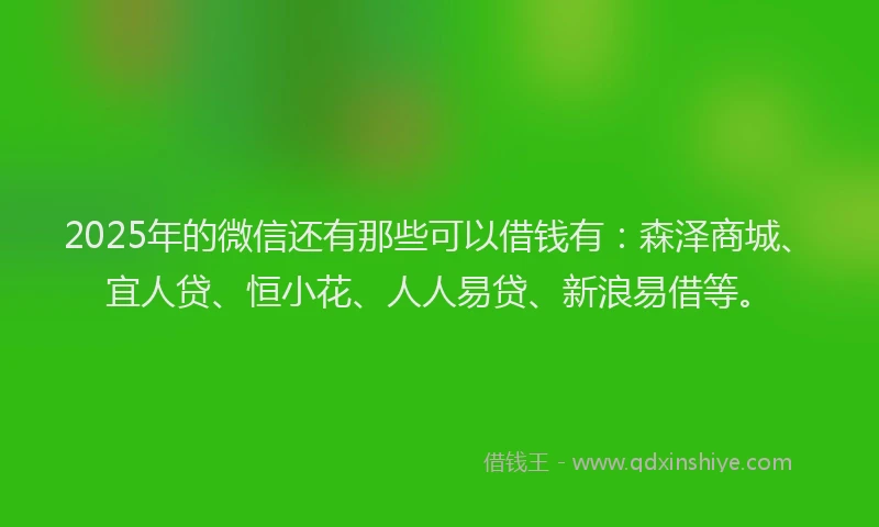 2025年的微信还有那些可以借钱有：森泽商城、宜人贷、恒小花、人人易贷、新浪易借等。
