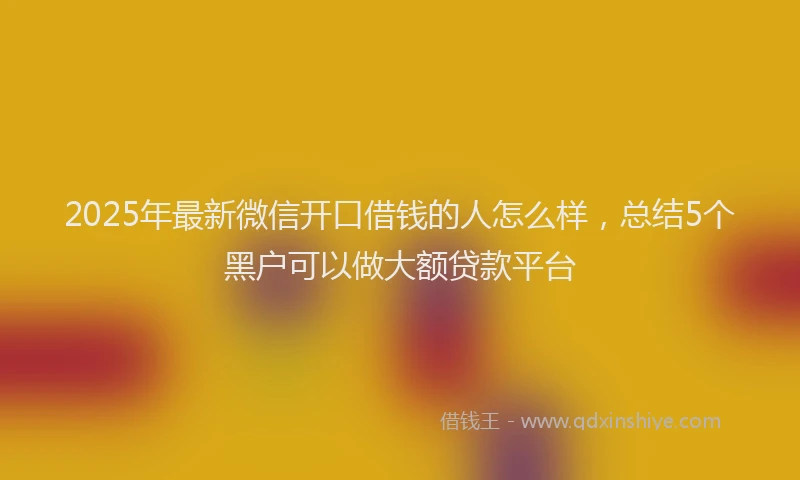 2025年最新微信开口借钱的人怎么样，总结5个黑户可以做大额贷款平台