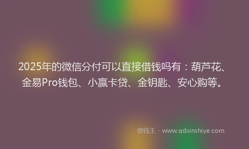 2025年的微信分付可以直接借钱吗有：葫芦花、金易Pro钱包、小赢卡贷、金钥匙、安心购等。