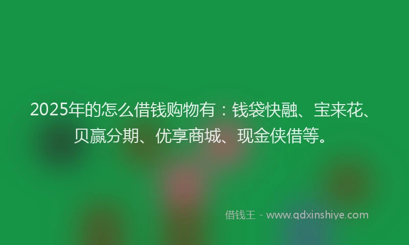 2025年的怎么借钱购物有：钱袋快融、宝来花、贝赢分期、优享商城、现金侠借等。