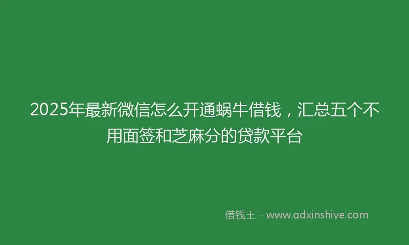 2025年最新微信怎么开通蜗牛借钱，汇总五个不用面签和芝麻分的贷款平台