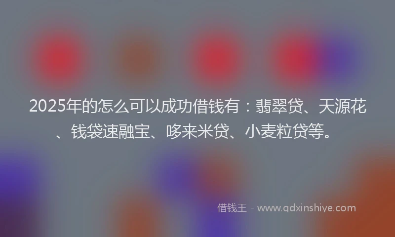 2025年的怎么可以成功借钱有：翡翠贷、天源花、钱袋速融宝、哆来米贷、小麦粒贷等。