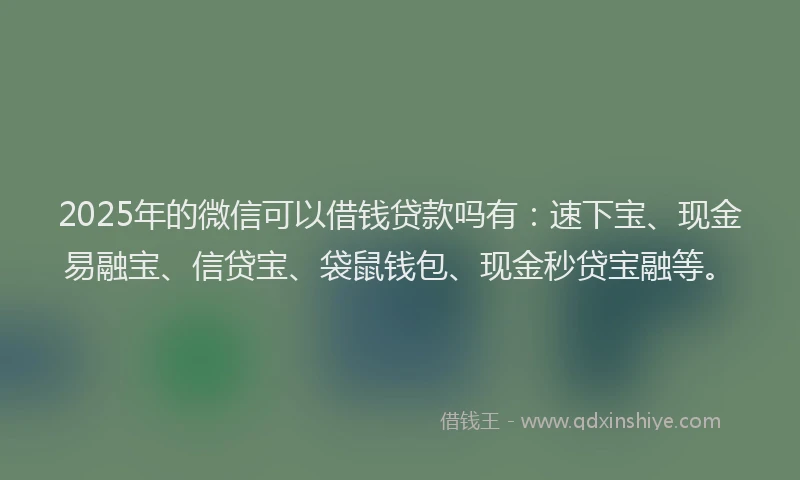 2025年的微信可以借钱贷款吗有：速下宝、现金易融宝、信贷宝、袋鼠钱包、现金秒贷宝融等。