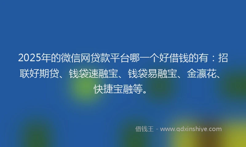2025年的微信网贷款平台哪一个好借钱的有：招联好期贷、钱袋速融宝、钱袋易融宝、金瀛花、快捷宝融等。
