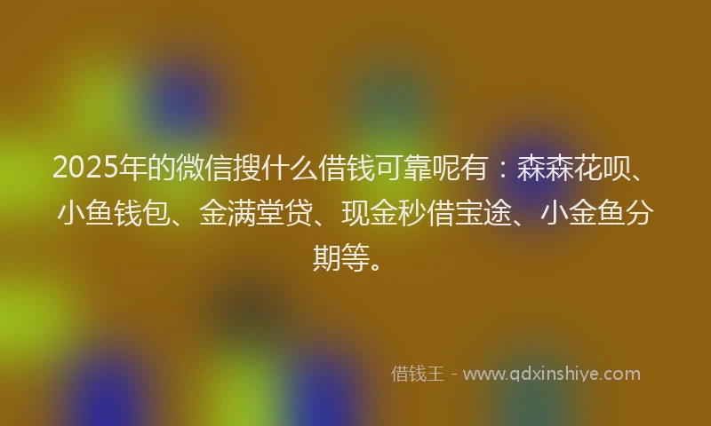 2025年的微信搜什么借钱可靠呢有：森森花呗、小鱼钱包、金满堂贷、现金秒借宝途、小金鱼分期等。