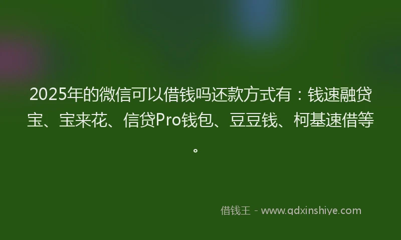 2025年的微信可以借钱吗还款方式有：钱速融贷宝、宝来花、信贷Pro钱包、豆豆钱、柯基速借等。