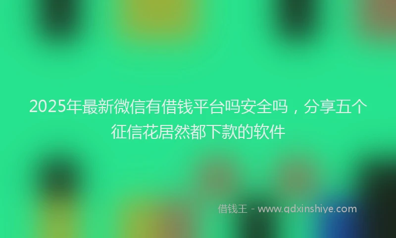 2025年最新微信有借钱平台吗安全吗，分享五个征信花居然都下款的软件