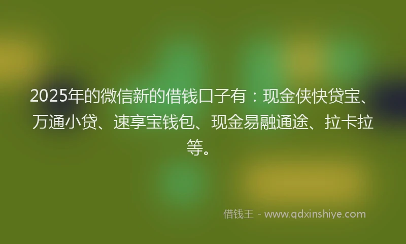 2025年的微信新的借钱口子有：现金侠快贷宝、万通小贷、速享宝钱包、现金易融通途、拉卡拉等。