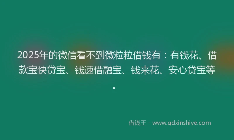 2025年的微信看不到微粒粒借钱有：有钱花、借款宝快贷宝、钱速借融宝、钱来花、安心贷宝等。