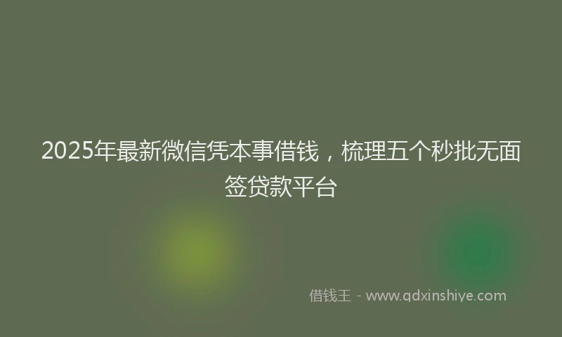 2025年最新微信凭本事借钱，梳理五个秒批无面签贷款平台