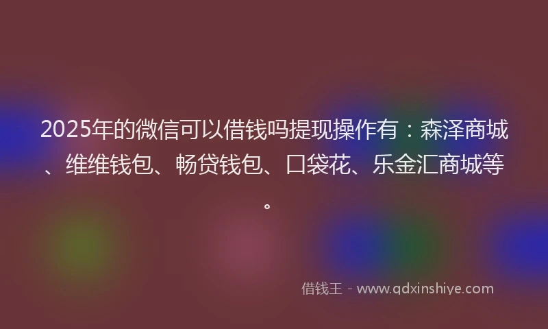 2025年的微信可以借钱吗提现操作有：森泽商城、维维钱包、畅贷钱包、口袋花、乐金汇商城等。