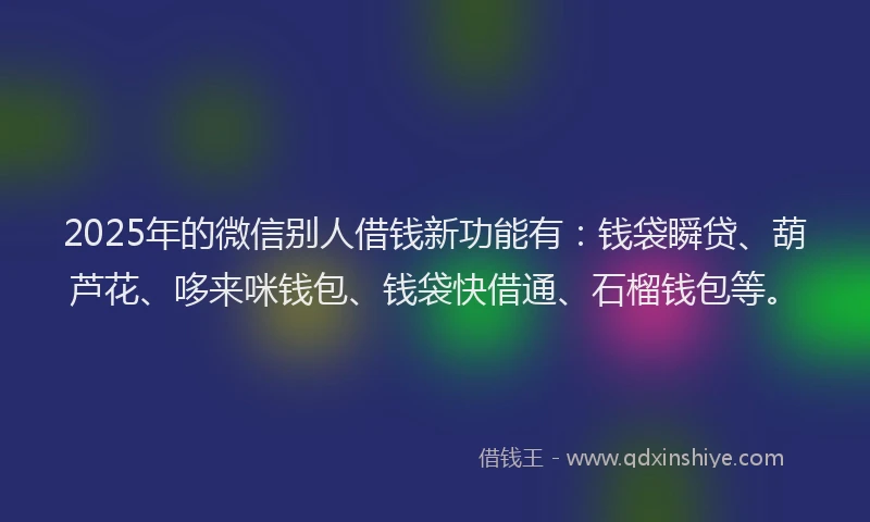 2025年的微信别人借钱新功能有：钱袋瞬贷、葫芦花、哆来咪钱包、钱袋快借通、石榴钱包等。