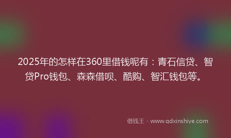 2025年的怎样在360里借钱呢有：青石信贷、智贷Pro钱包、森森借呗、酷购、智汇钱包等。