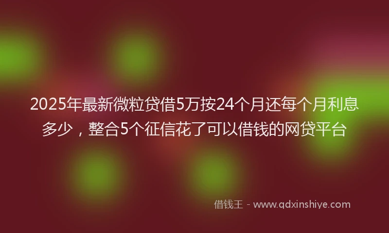 2025年最新微粒贷借5万按24个月还每个月利息多少，整合5个征信花了可以借钱的网贷平台