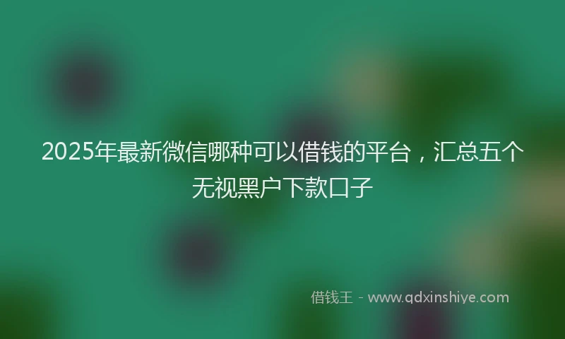 2025年最新微信哪种可以借钱的平台，汇总五个无视黑户下款口子