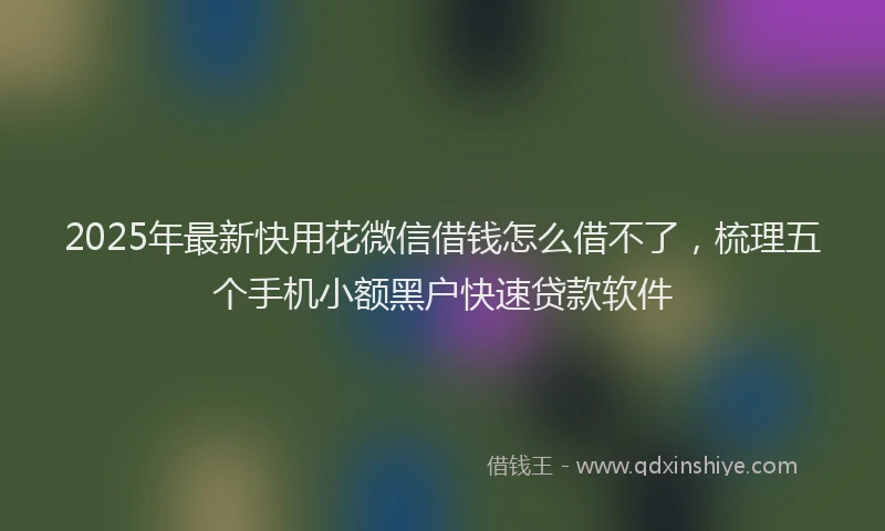 2025年最新快用花微信借钱怎么借不了，梳理五个手机小额黑户快速贷款软件