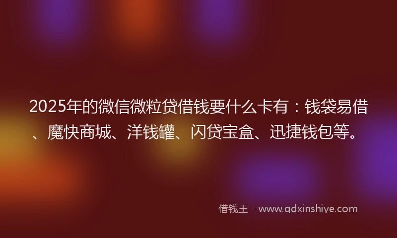 2025年的微信微粒贷借钱要什么卡有：钱袋易借、魔快商城、洋钱罐、闪贷宝盒、迅捷钱包等。