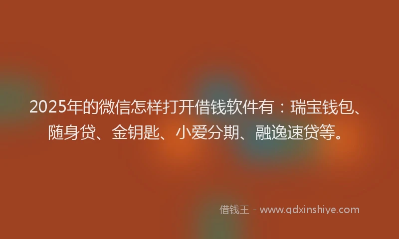 2025年的微信怎样打开借钱软件有：瑞宝钱包、随身贷、金钥匙、小爱分期、融逸速贷等。