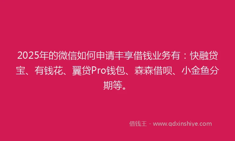 2025年的微信如何申请丰享借钱业务有：快融贷宝、有钱花、翼贷Pro钱包、森森借呗、小金鱼分期等。