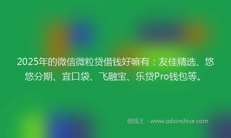 2025年的微信微粒贷借钱好嘛有：友佳精选、悠悠分期、宜口袋、飞融宝、乐贷Pro钱包等。