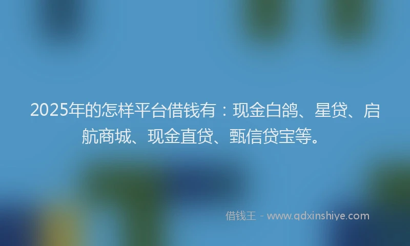 2025年的怎样平台借钱有：现金白鸽、星贷、启航商城、现金直贷、甄信贷宝等。