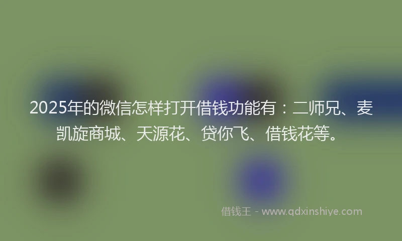 2025年的微信怎样打开借钱功能有：二师兄、麦凯旋商城、天源花、贷你飞、借钱花等。