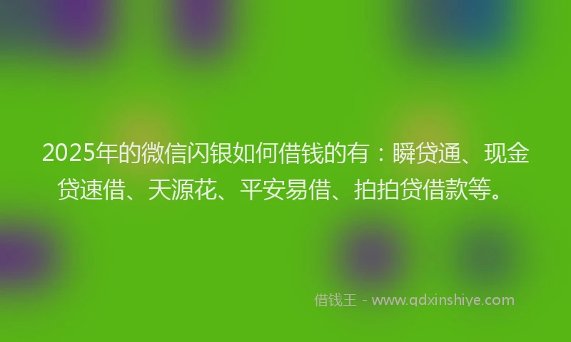 2025年的微信闪银如何借钱的有：瞬贷通、现金贷速借、天源花、平安易借、拍拍贷借款等。