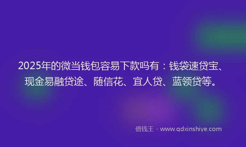 2025年的微当钱包容易下款吗有:钱袋速贷宝、现金易融贷途、随信花、宜人贷、蓝领贷等。
