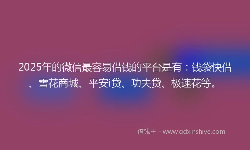 2025年的微信最容易借钱的平台是有：钱袋快借、雪花商城、平安i贷、功夫贷、极速花等。