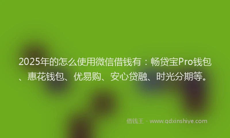 2025年的怎么使用微信借钱有：畅贷宝Pro钱包、惠花钱包、优易购、安心贷融、时光分期等。