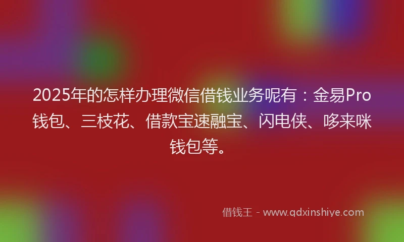 2025年的怎样办理微信借钱业务呢有：金易Pro钱包、三枝花、借款宝速融宝、闪电侠、哆来咪钱包等。