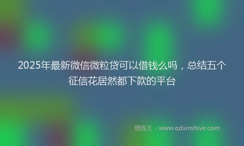2025年最新微信微粒贷可以借钱么吗，总结五个征信花居然都下款的平台