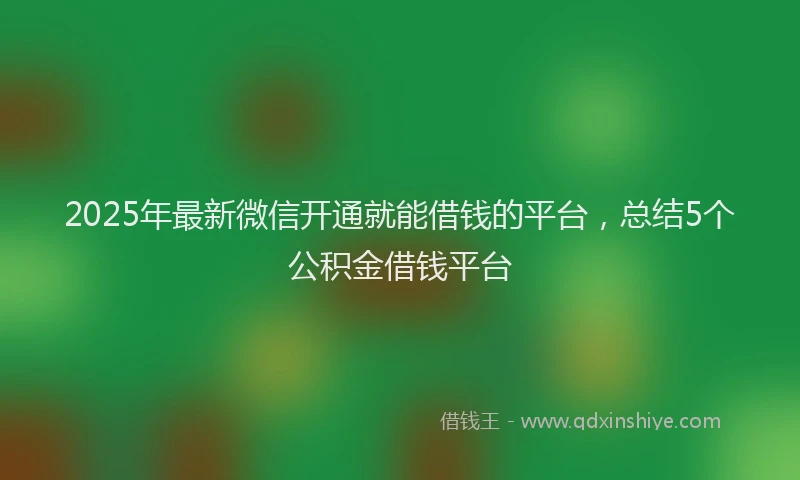 2025年最新微信开通就能借钱的平台，总结5个公积金借钱平台